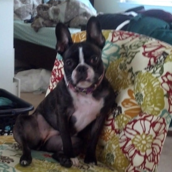 Meet your Posher, Brooke - Picture 1 of 1